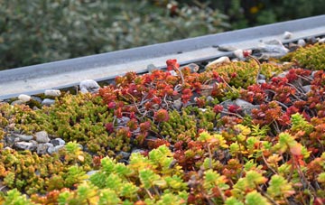 the cost of Whittlestone Head green roof installation