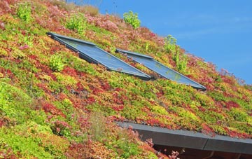 Whittlestone Head living roof systems