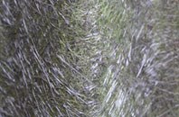 Whittlestone Head fibreglass roof work