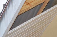 rated Whittlestone Head soffit repair companies